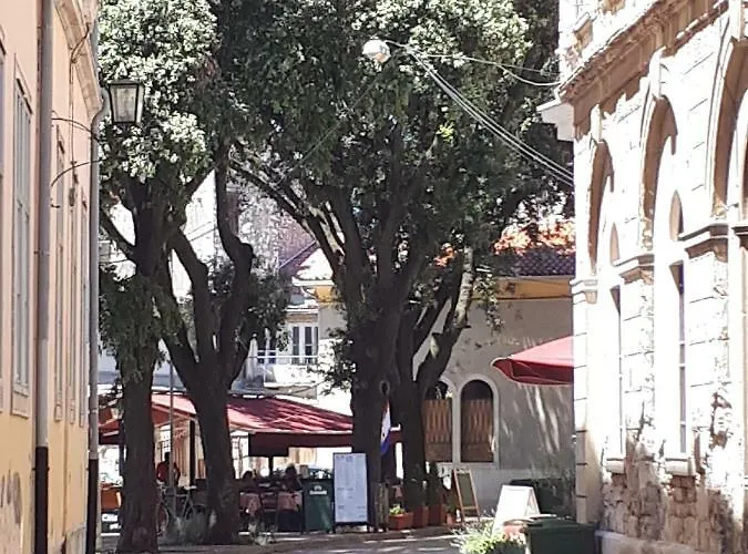 Ruza Πούλα