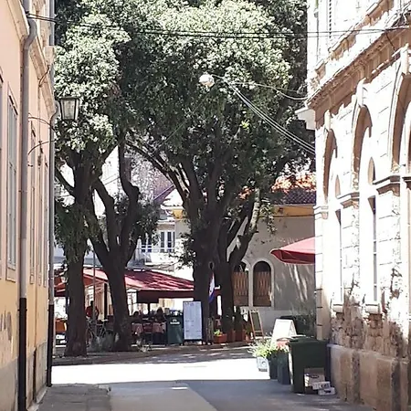 Ruza Πούλα